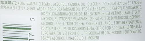 Cantu Argan Oil Leave-In Conditioning Repair, Cream 16 Ounce