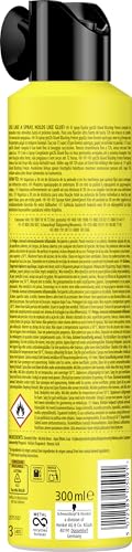 Schwarzkopf Got2b Glued Blasting Freeze Spray