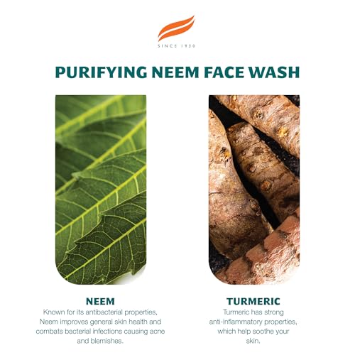 Himalaya Herbals Purifying Neem Face Wash Gel 150g (Pack of 2)