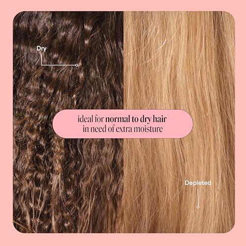 MONDAY Haircare 4 x 350 ml MOISTURE Shampoo with Hyaluronic Acid & Shea Butter for Dry & Dull Hair