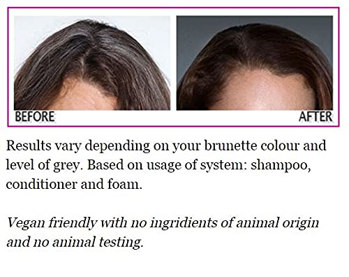multiple John Frieda Defy Grey Colour Blending Shampoo (250 ml) and Defy Grey Colour Blending Conditioner (250 ml) to blend the first grey hairs in brown hair