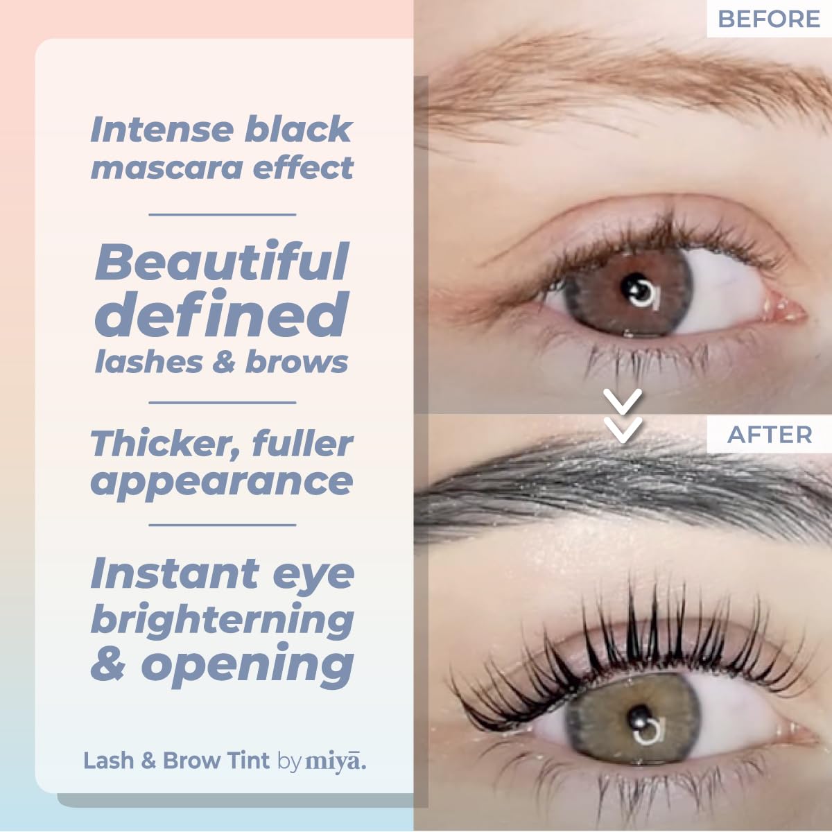 MIYA LASH 2 in 1 Brow & Eyelash Tint Kit | Black Permanent Dye | Lash Tinting Kit With Tools & Developer