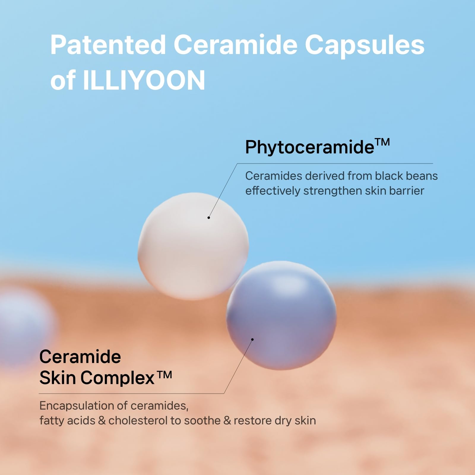 ILLIYOON Ceramide Ato Concentrate Cream (500ml, 16.9 Fl Oz) | Moisturizer for Dry&Sensitive Skin, 100hr Hydration, Restoring Skin Barrier | Gentle for Infants and Adults | Vegan | Fragrance Free