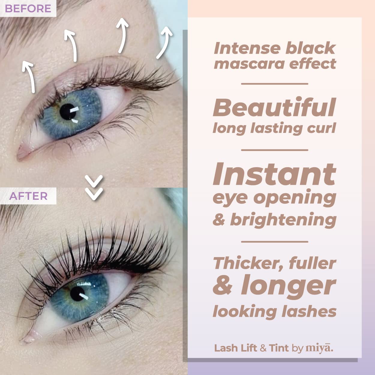 Lash Lift and Tint Kit | Brow Lamination and Tint Kit | MIYA LASH | All in 1 Eyelash and Eyebrow Lift Kit with Black Colour Tint | Keratin Lash Perm LVL | Beginner Friendly | All Tools Included