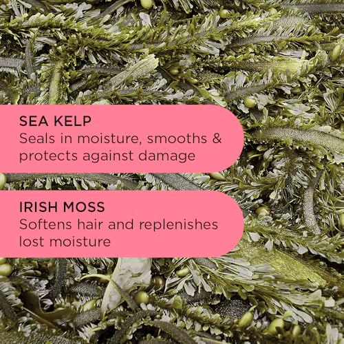 Noughty 97% Natural Hey Curl Scrunching Jelly, Hydrating Frizz Control Formula for Curly and Wavy Hair with Sea Kelp and Irish Moss, Sulphate Free Vegan Haircare 200ml