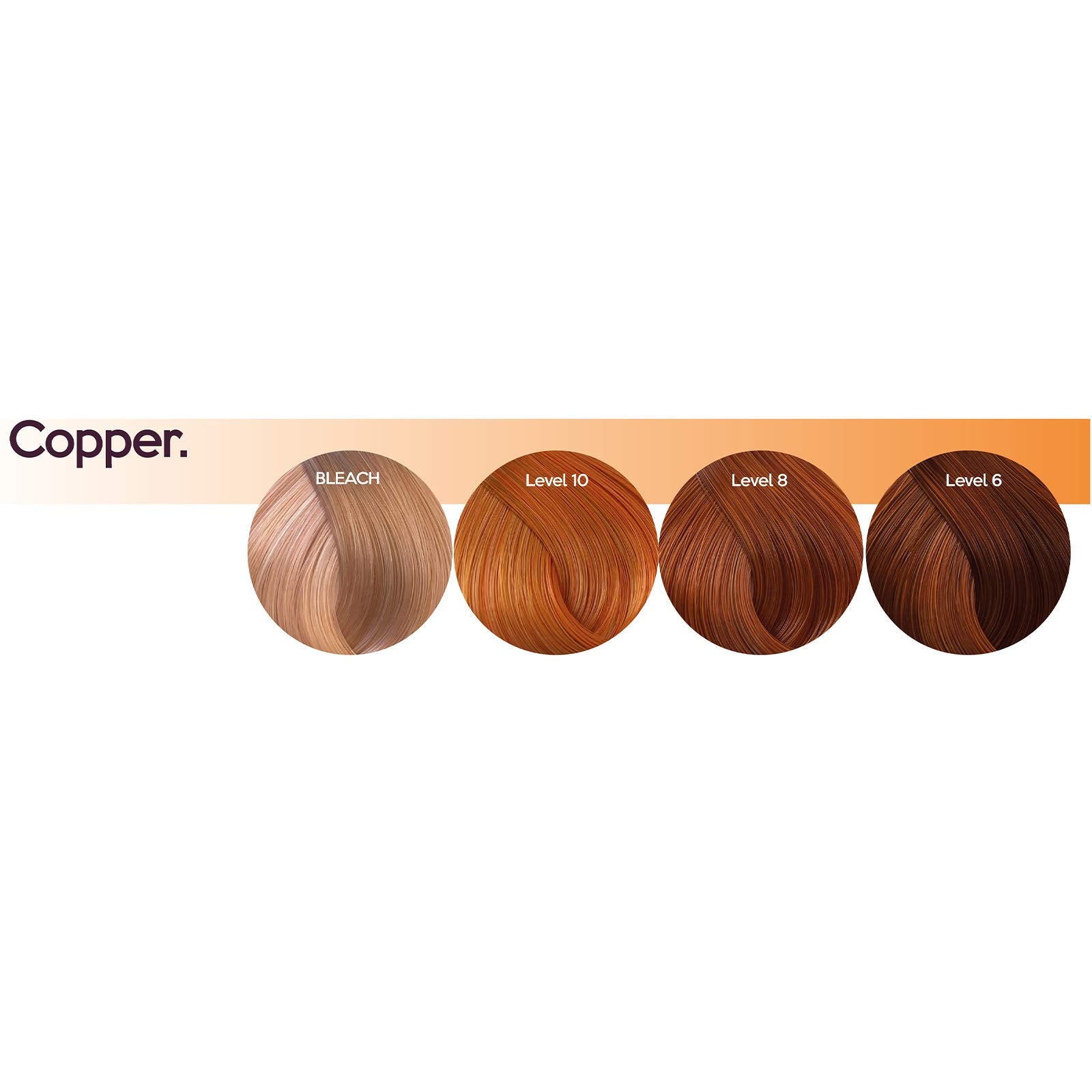 Infuse My. Colour Copper Shampoo, 250 ml (Pack of 1)