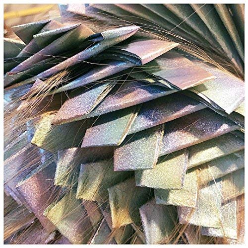 FRAMAR Ethereal Embossed Pop Up Hair Foil - Highlighting, Foils for Highlights, Hairdressing Foil for Hair Highlights, Non Slip Embossed Texture – 500 Sheets