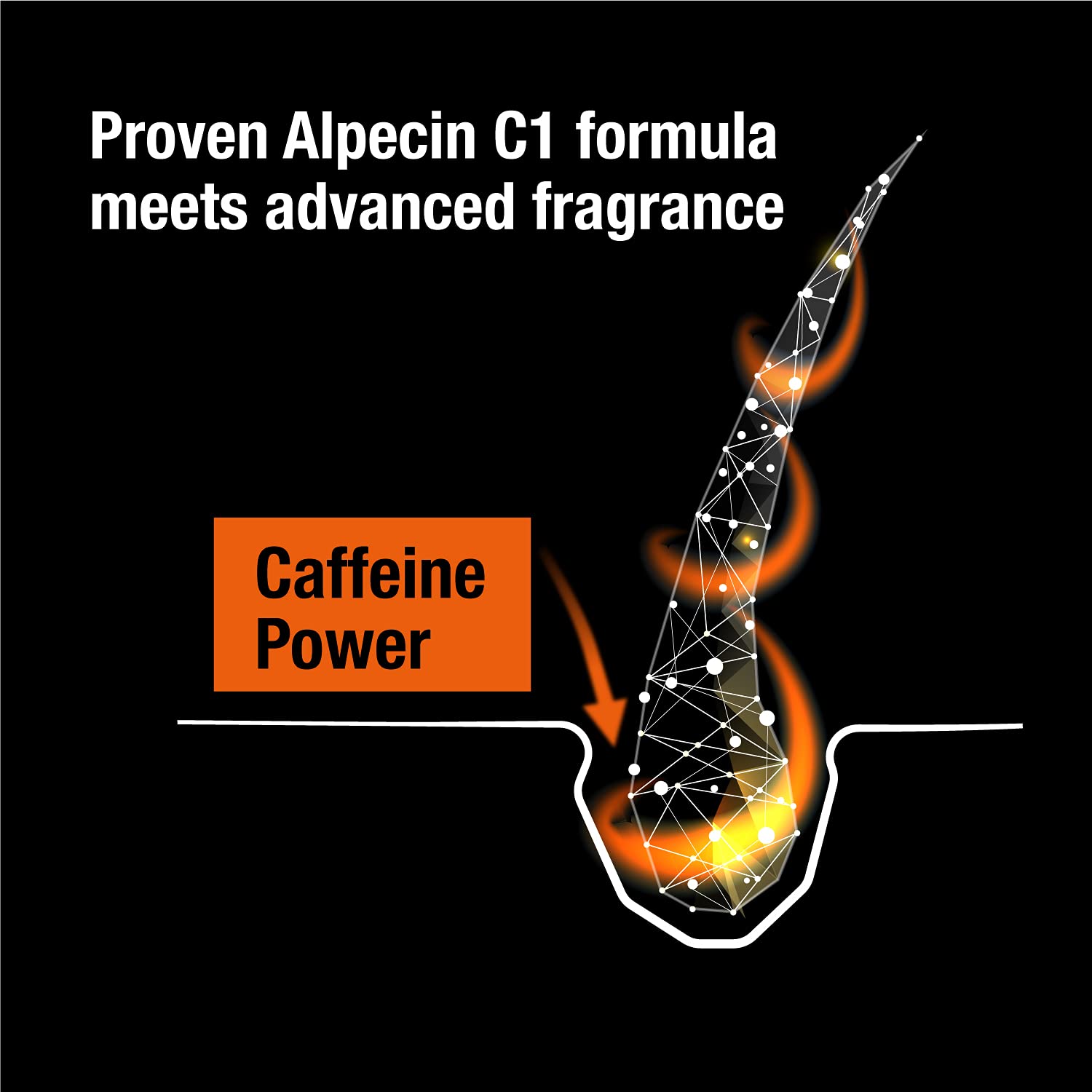 Alpecin Caffeine Shampoo C1 Black Edition - 3 x 250 ml - with new fragrance | Natural hair growth for men | Energy for strong hair | Hair Care for Men Made in Germany