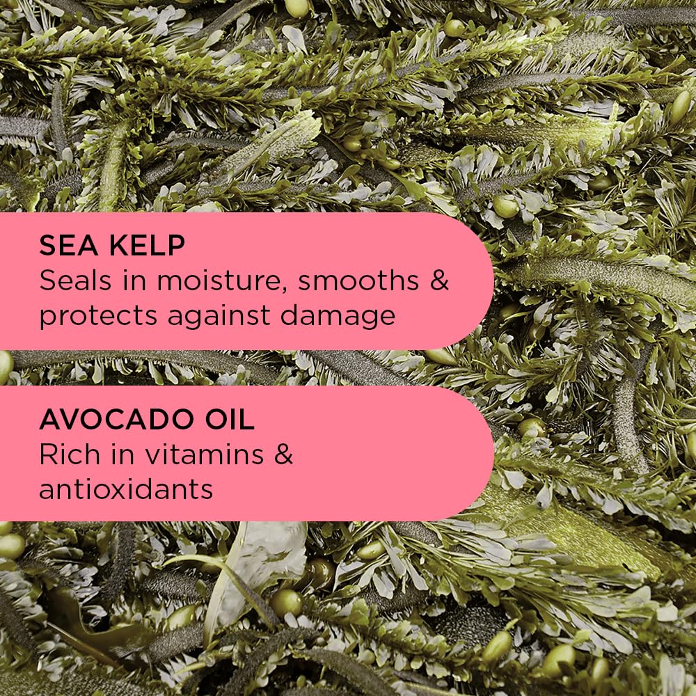 Noughty 97% Natural Wave Hello Shampoo and Conditioner Duo Curl Defining Sulphate Free Vegan Hair Care Set Vitamin Rich Formula for Curly & Wavy Hair, 250ml