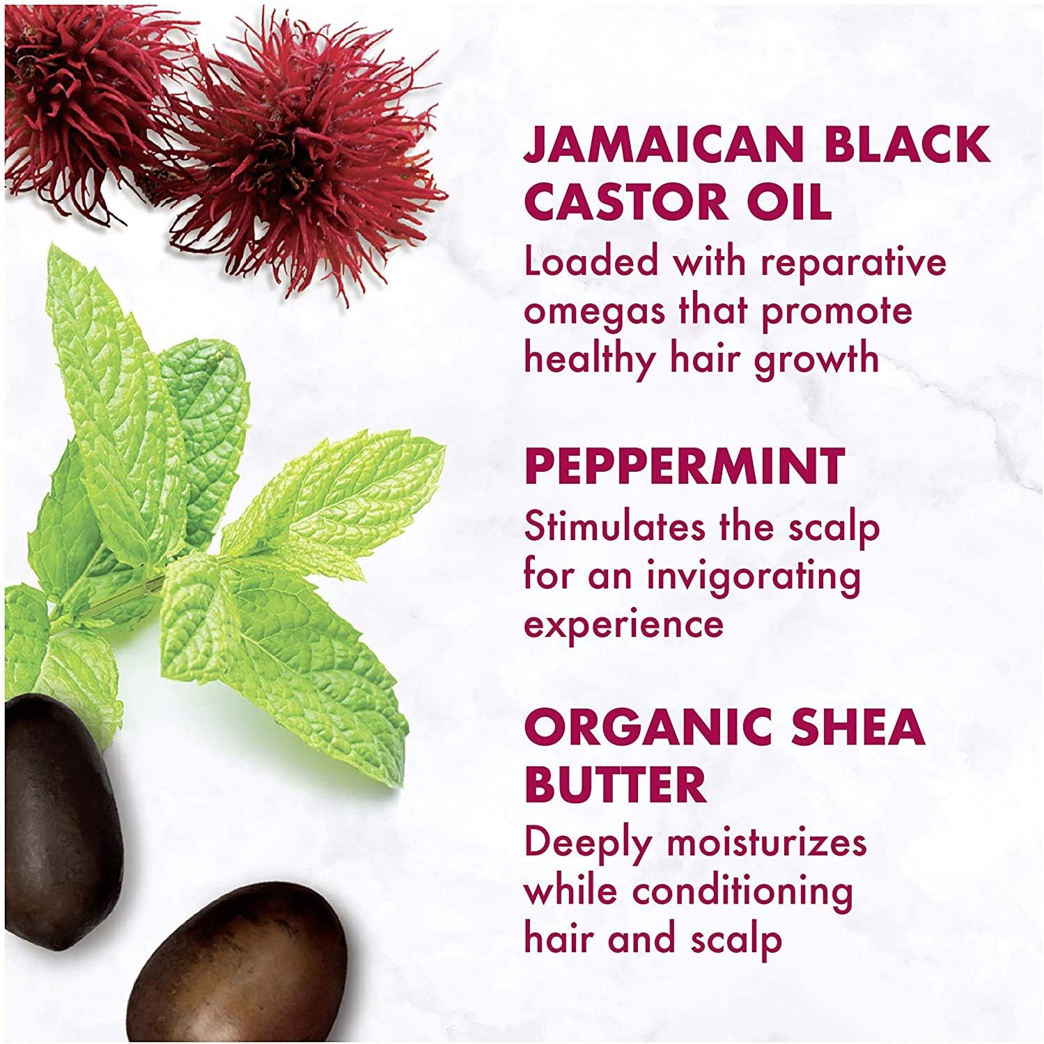 Shea Moisture - Jamaican Black Castor Oil Shampoo & Conditioner Set