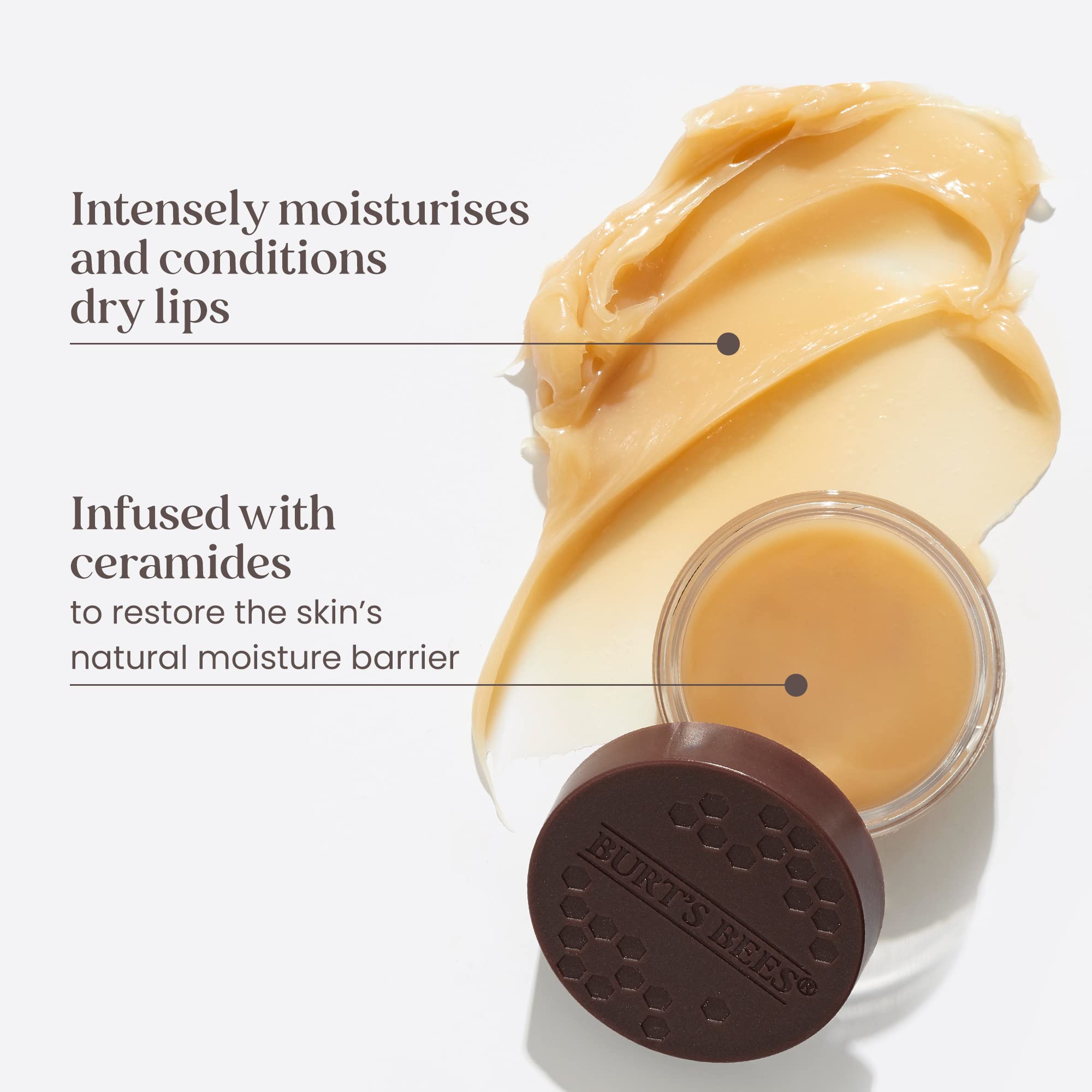 BURTS BEES Overnight Lip Treatment, 7.08 GR