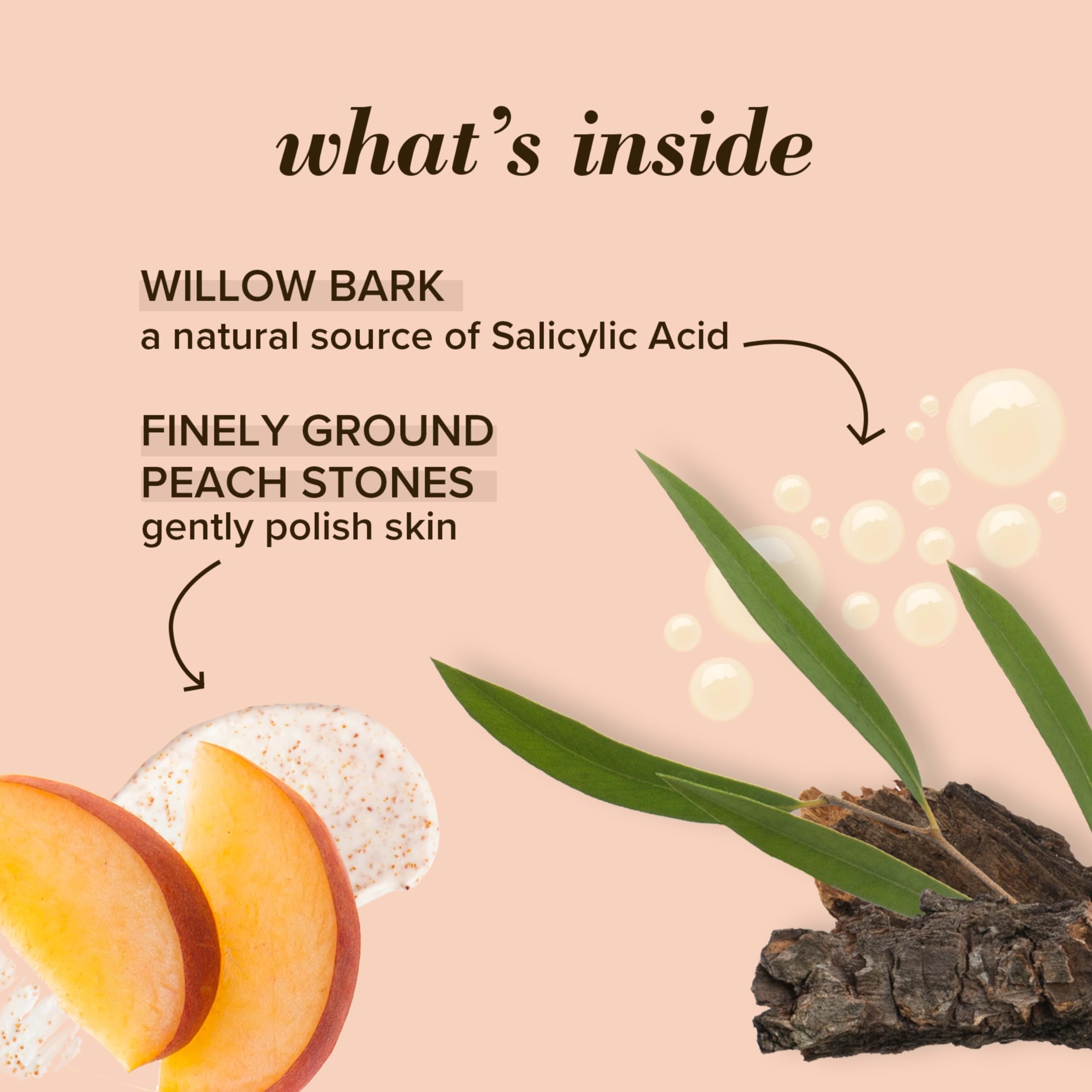 Burt's Bees Peach and Willow Bark Deep Pore Exfoliating Facial Scrub, 4 Oz (Package May Vary)