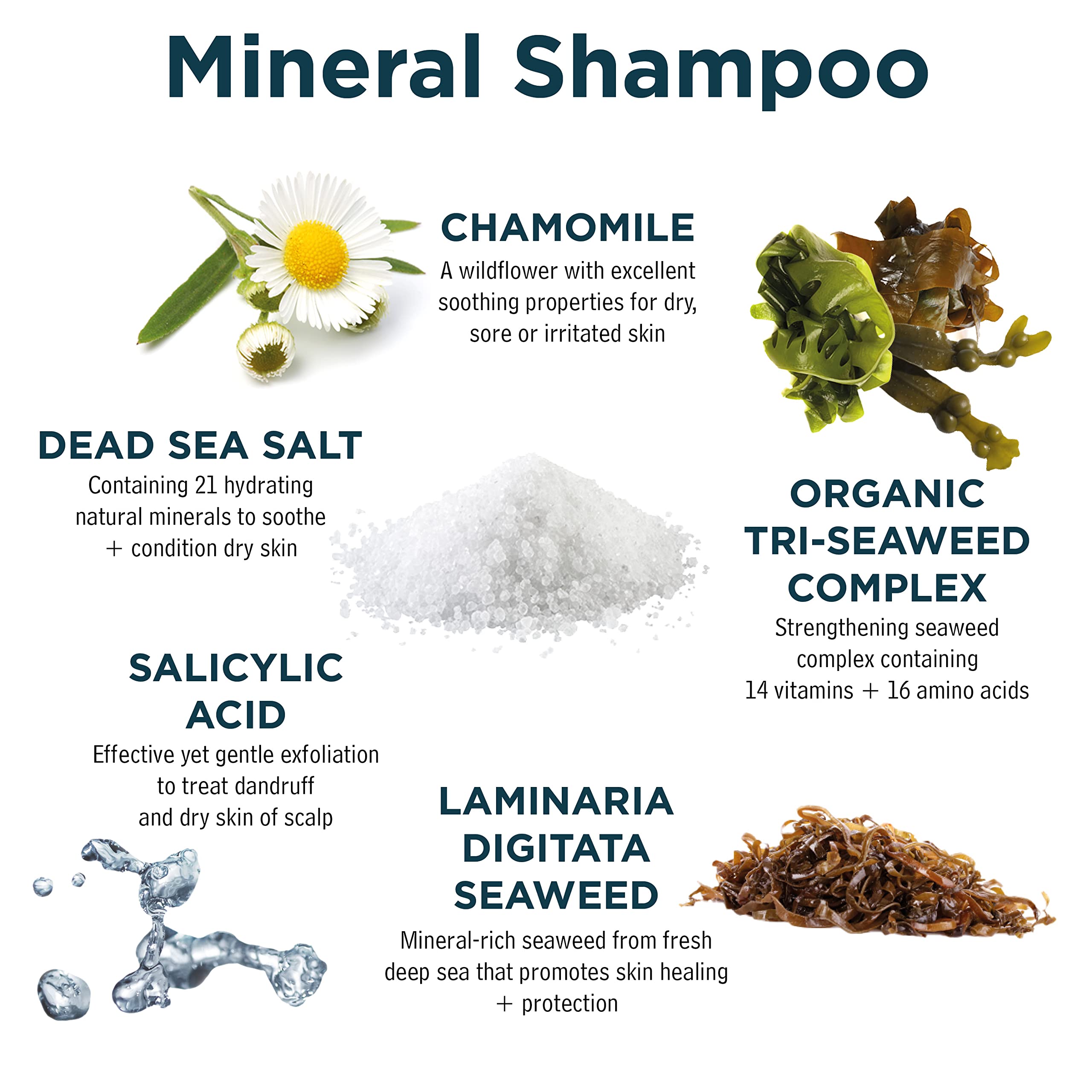 Sea Magik - Seaweed Shampoo and Conditioner Set with Dead Sea Salt and Salicylic Acid to Exfoliate and Cleanse Dry or Sensitive Scalps, Allergen-Free Fragrance, Vegan, Cruelty Free (2 x 300ml)