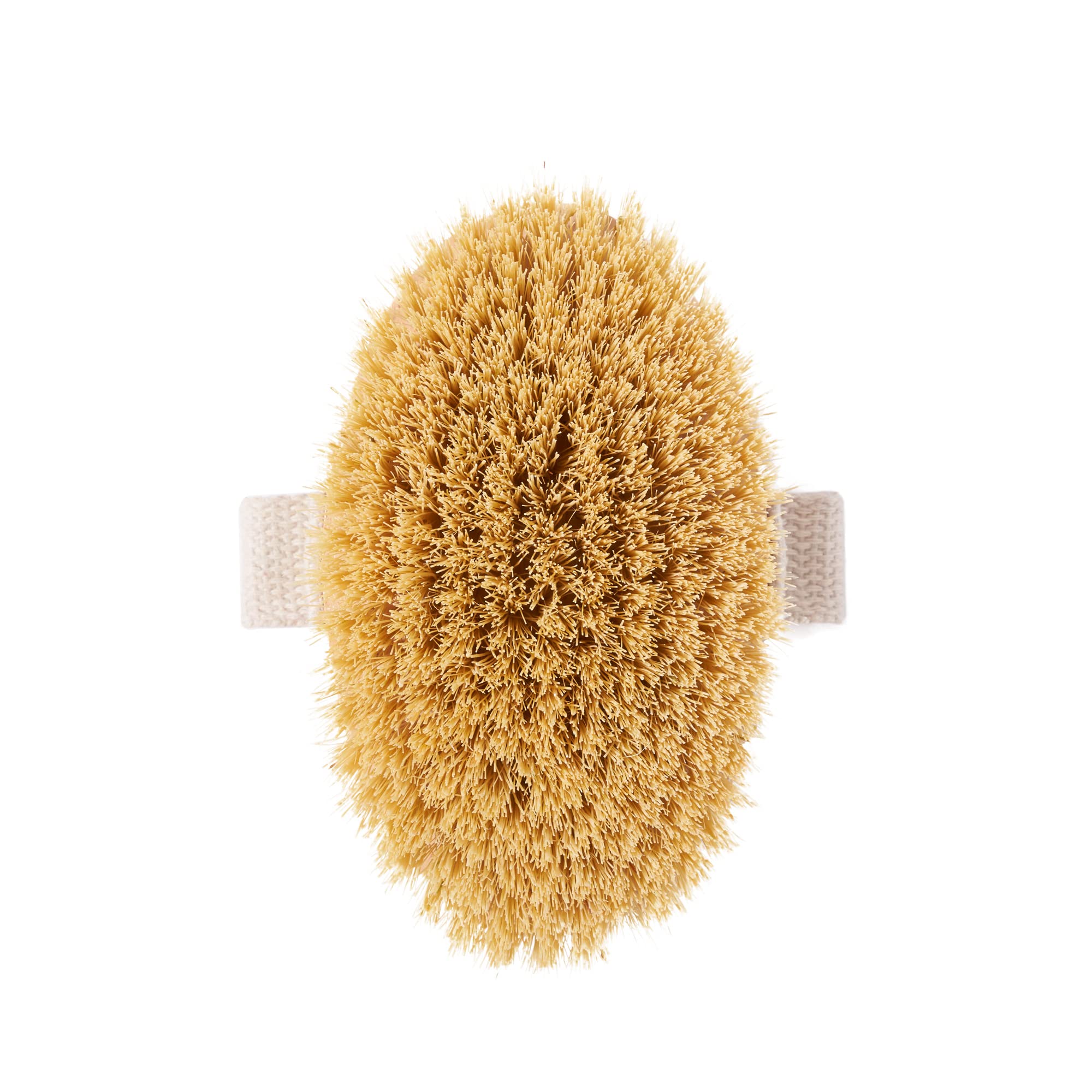 Wild & Stone | Dry Brushing Body Brush | Gentle Exfoliating Brush | Cellulite Remover | Body Exfoliator | Natural & Sustainable Body Brush
