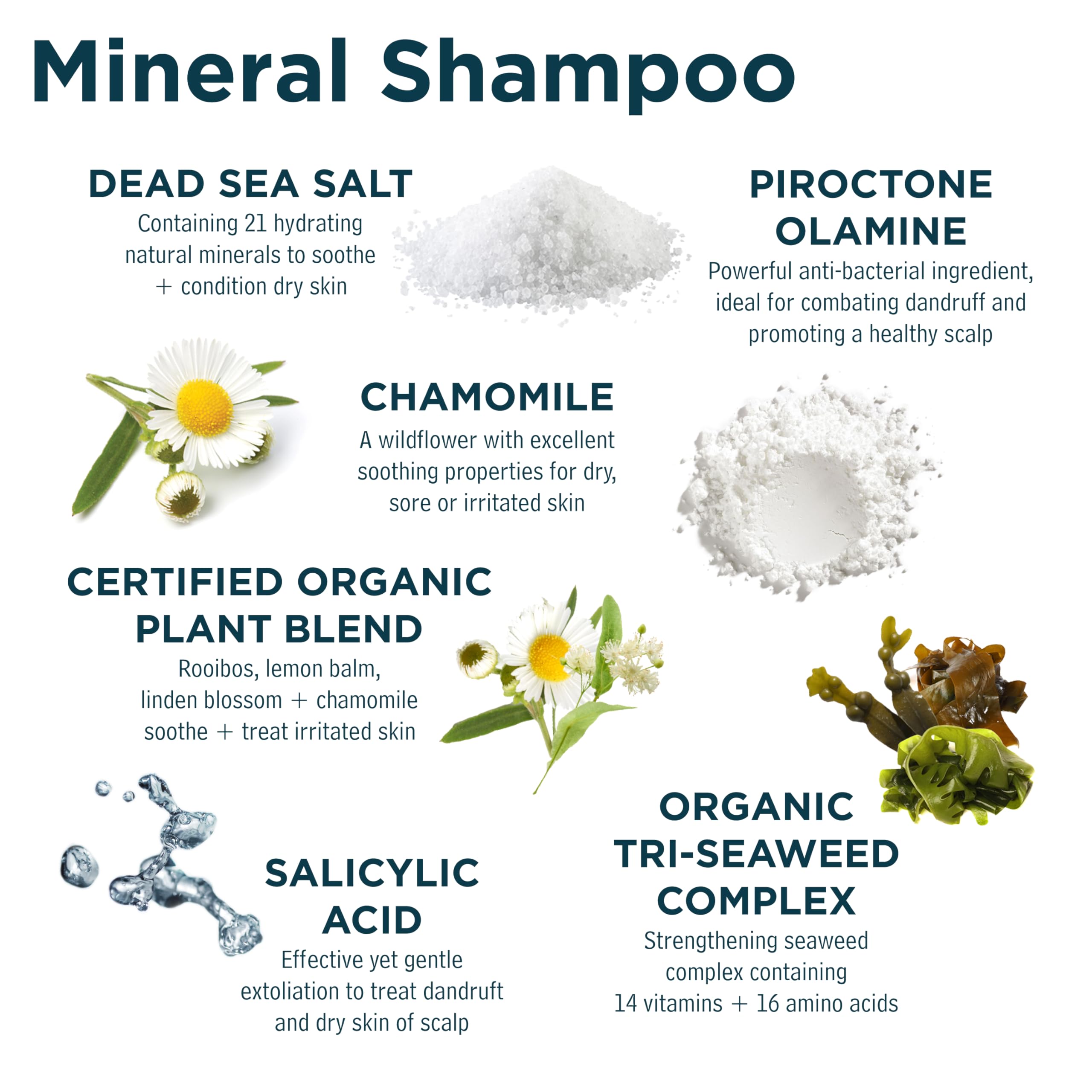 Sea Magik - Salicylic Acid Shampoo and Scalp Mask Set for Sensitive and Dry Scalp and Hair, Infused with Strengthening Seaweed, Long Lasting Hydration, Vegan, Cruelty Free (300ml + 150ml)