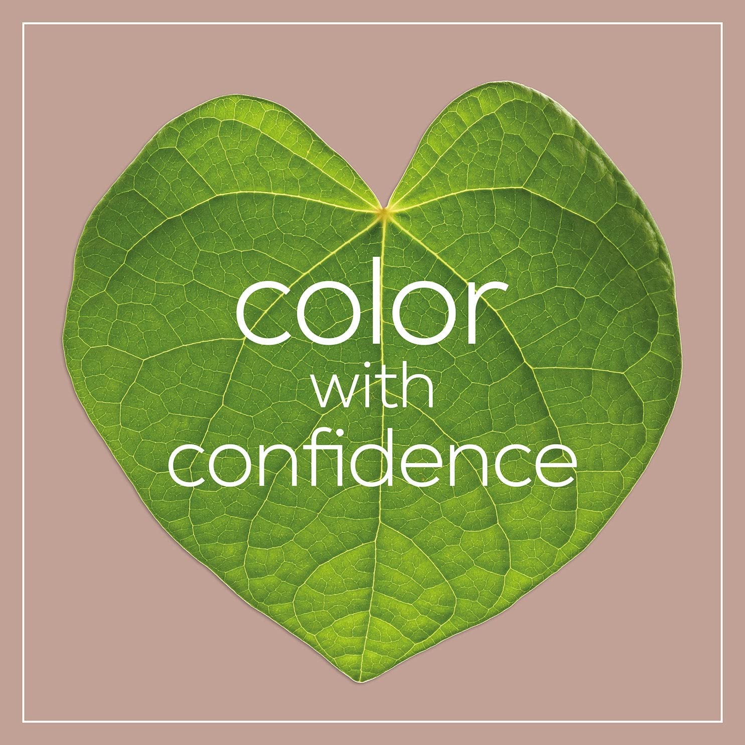 Naturtint Hair Color - Permanent - 6G - Dark Golden Blonde - 5.28 oz
