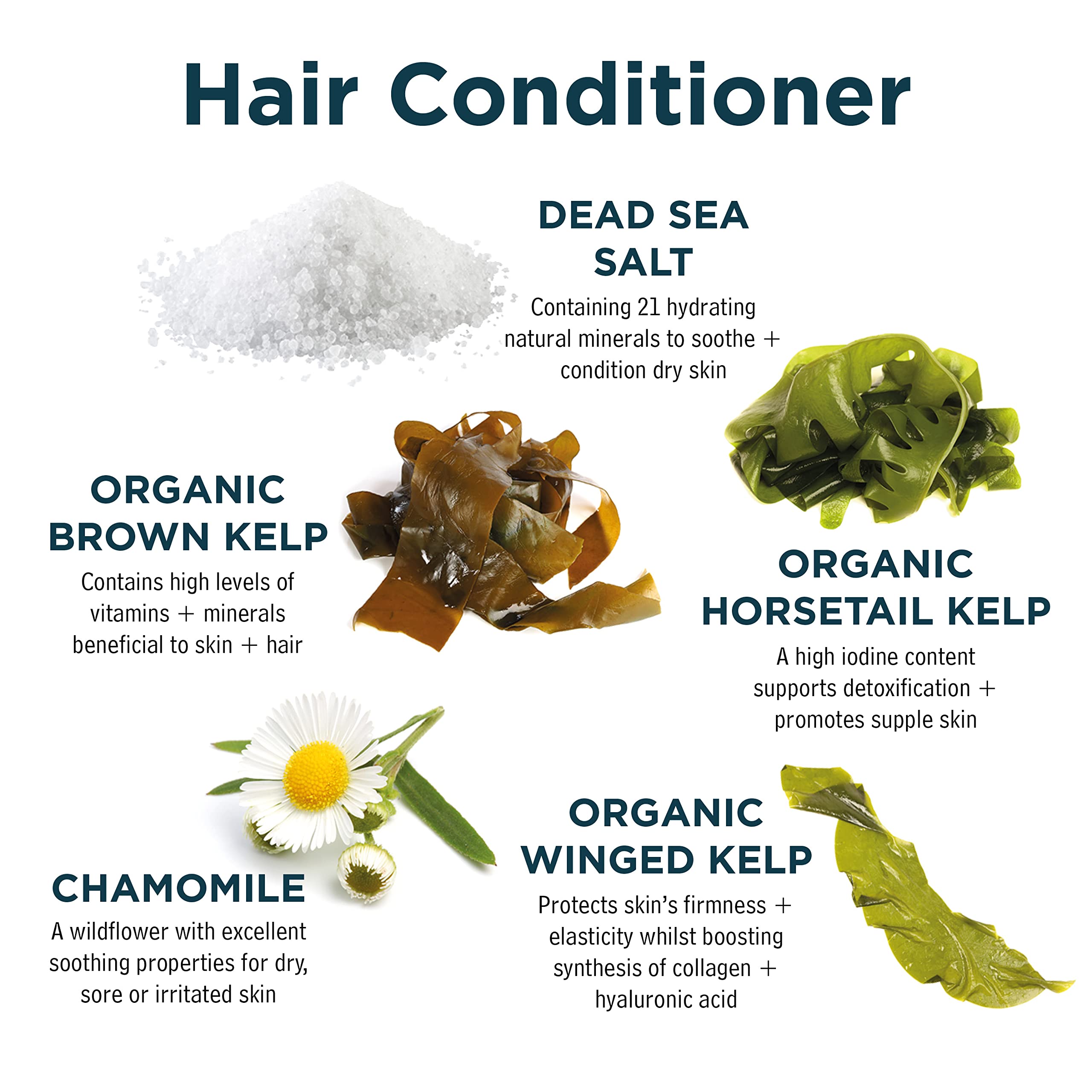 Sea Magik - Seaweed Shampoo and Conditioner Set with Dead Sea Salt and Salicylic Acid to Exfoliate and Cleanse Dry or Sensitive Scalps, Allergen-Free Fragrance, Vegan, Cruelty Free (2 x 300ml)