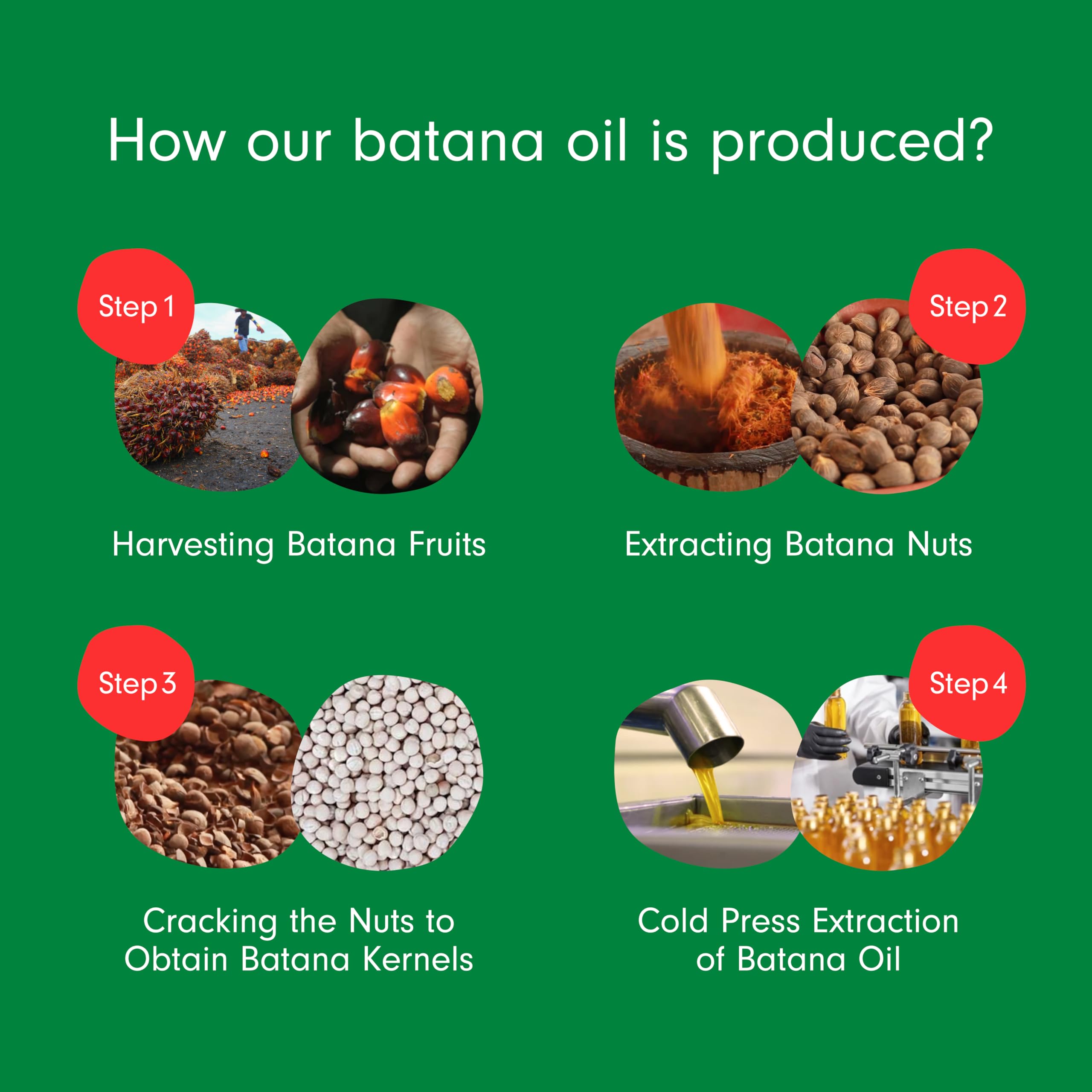Dersie Batana Oil for Hair Growth Dr Sebi - 100% Pure & Natural Raw Oil From Honduras - For Thicker & Stronger Hair - 4 FL OZ