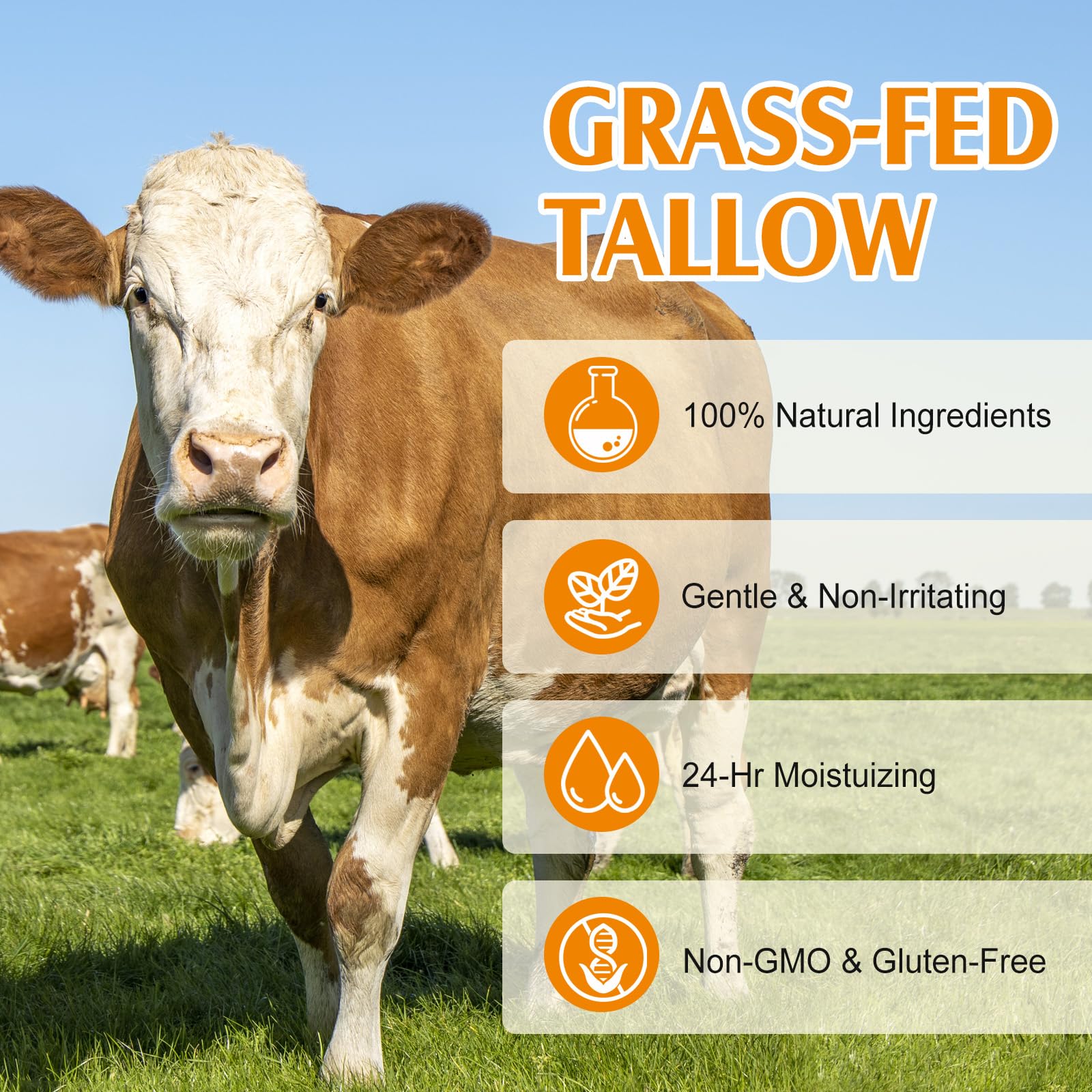 Gorgeurora Beef Tallow for Skin, Beef Tallow and Honey Balm 4.2oz, Tallow Face Moisturizer, Organic Grass - Fed Whipped Beef Tallow and Honey Balm - Deeply Moisturizing for Face & Body, Softens Dry