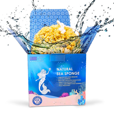Jordan Benedict Natural Sea Sponge, Unbleached Honeycomb Bath Sponge, Exfoliating Bath Sponges for Adults, Organic Shower Sponges for Women and Men (S, 1 Piece)