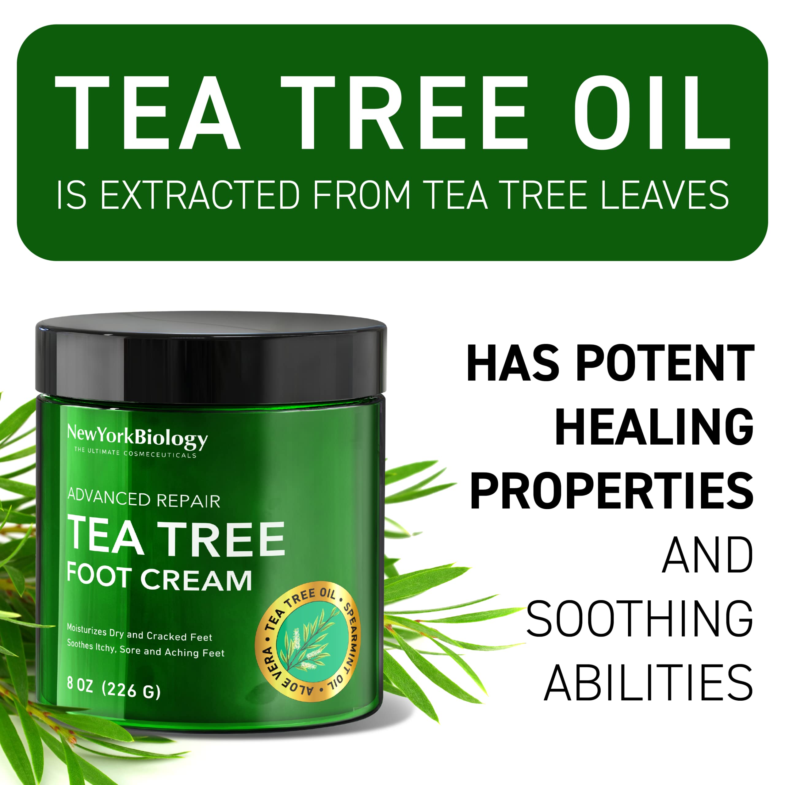 New York Biology Tea Tree Oil Foot Cream for Dry Cracked Feet, Athletes Foot, Nail Fungus, Jock Itch, Ringworm, Cracked Heels and Itchy Skin – Pain Relieving Foot Cream - 226 g