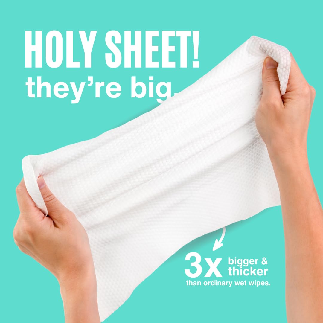 Swypes | 15 Large Individually Wrapped 100% Biodegradable Dual Sided No Rinse Body Wipes for Face & Body | Vitamin-E Infused | For Sports Gym Wipes Travel Camping Festival