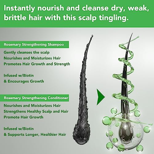 Rosemary Shampoo and Conditioner Set, Hair Growth Rosemary Shampoo and Conditioner Against Hair Loss, Nourishes Scalp, Biotin rosemary oil Hair Thickening Products for Women and Men, Sulfate Free