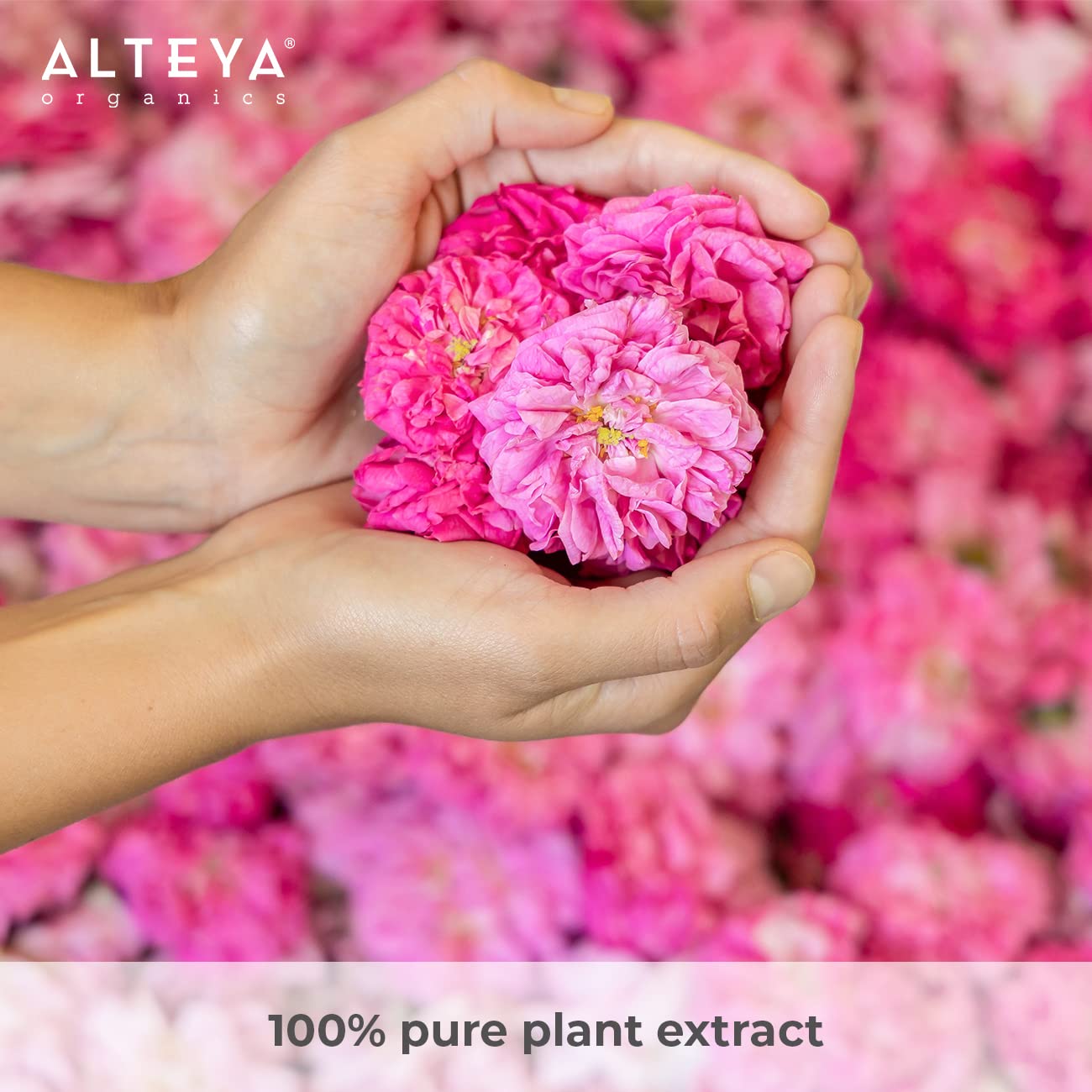 Alteya High-Potency Rose Water USDA Organic Facial Toner, 6000 Roses in a Bottle, 200mL Pure Bulgarian Rosa Damascena Flower Water, Award-Winning Moisturizer in Miron Biophotonic Glass