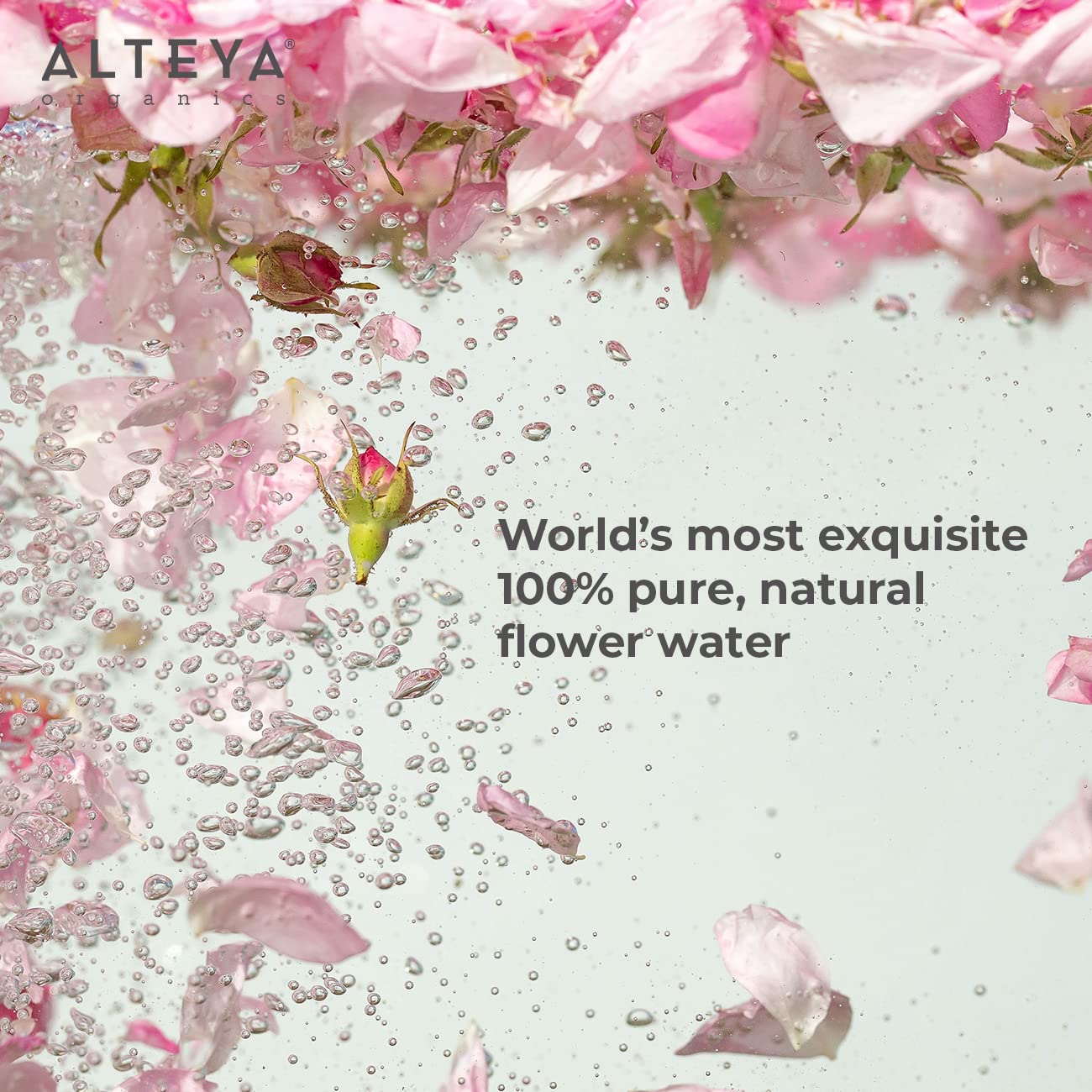 Alteya High-Potency Rose Water USDA Organic Facial Toner, 6000 Roses in a Bottle, 200mL Pure Bulgarian Rosa Damascena Flower Water, Award-Winning Moisturizer in Miron Biophotonic Glass