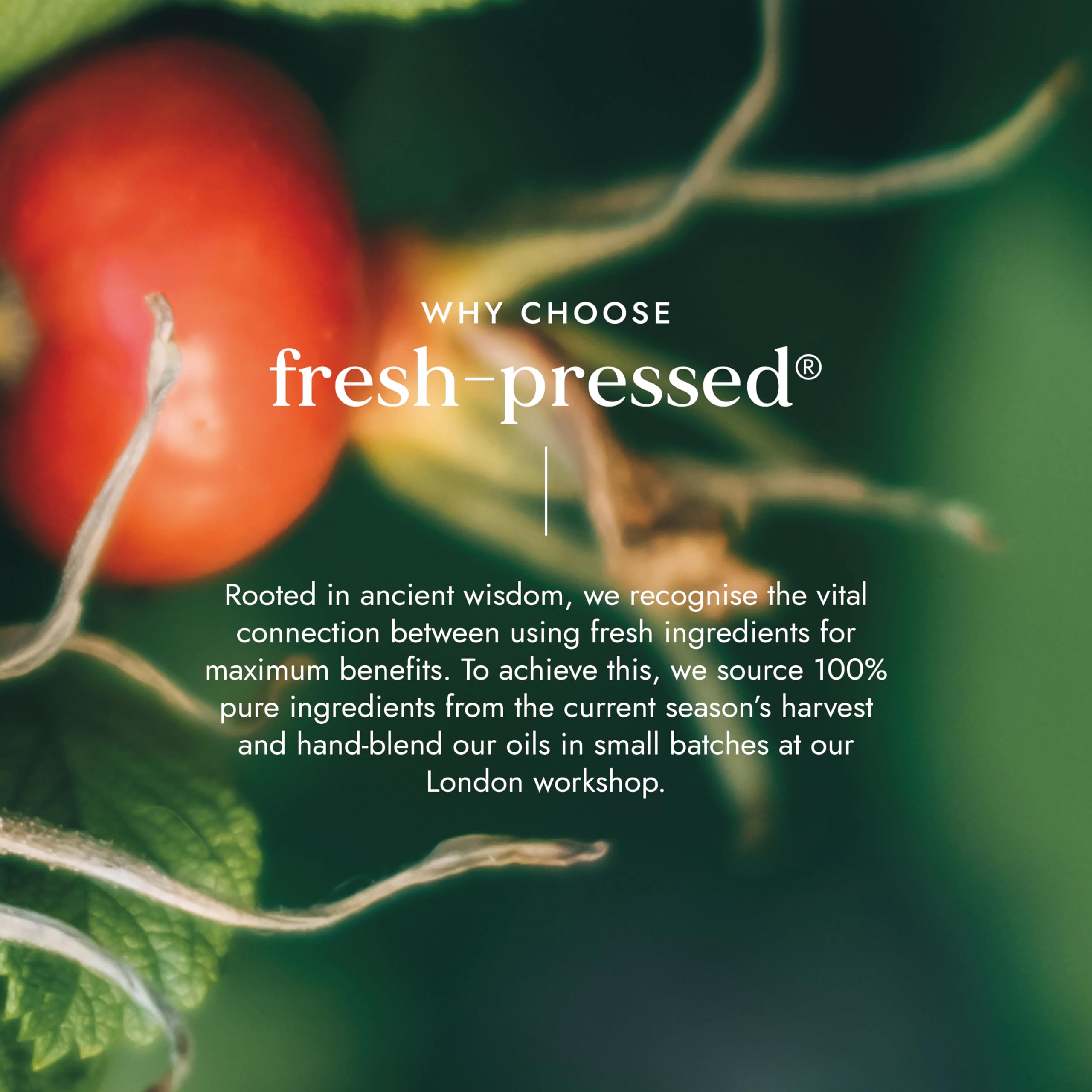 Rosehip Seed oil Organic 100ml