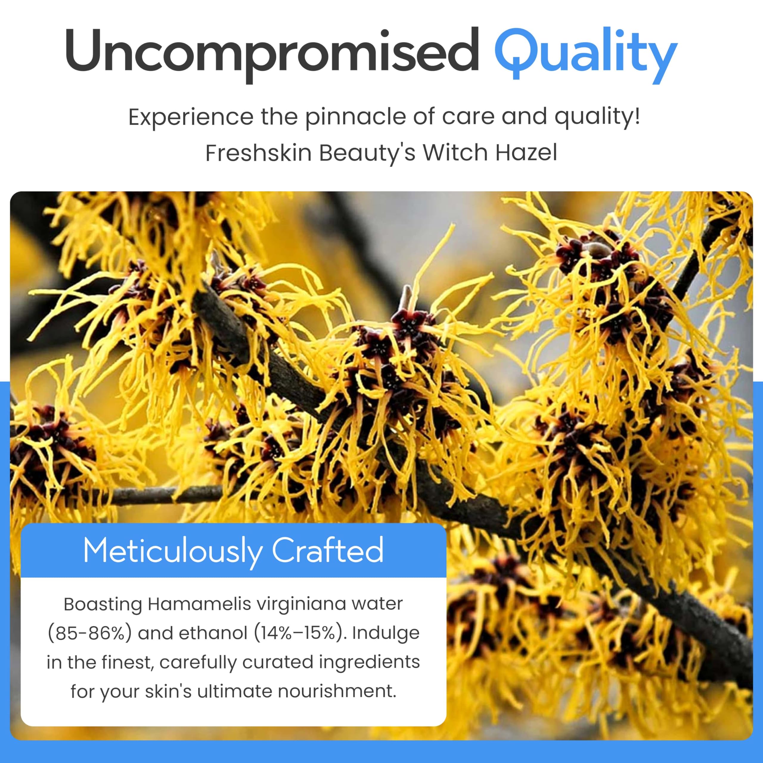Freshskin Beauty LTD | Witch Hazel Distillate BPC/USP 1000ml - Natural Distilled Skin Toner (1 Litre)