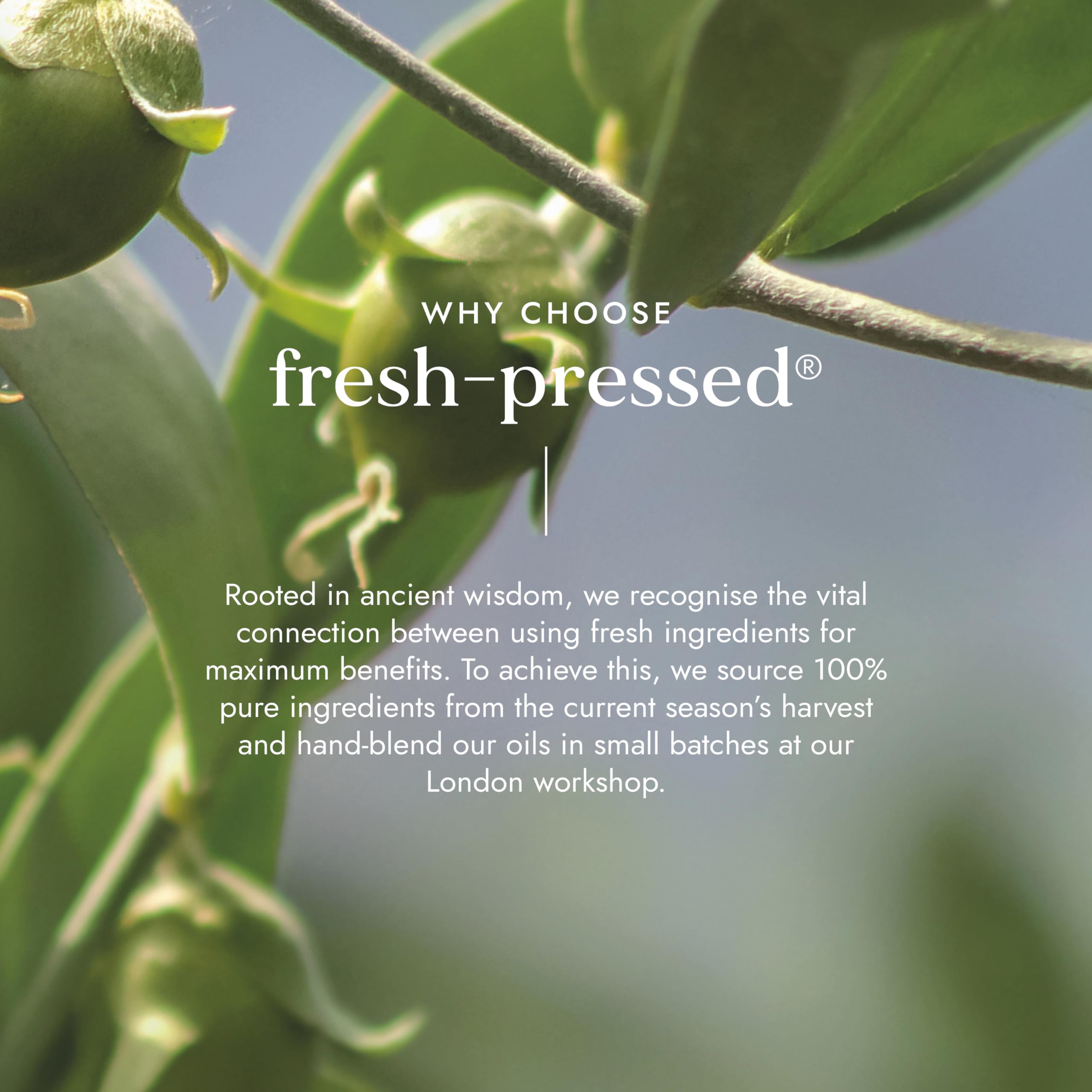 Jojoba Oil Organic 100ml