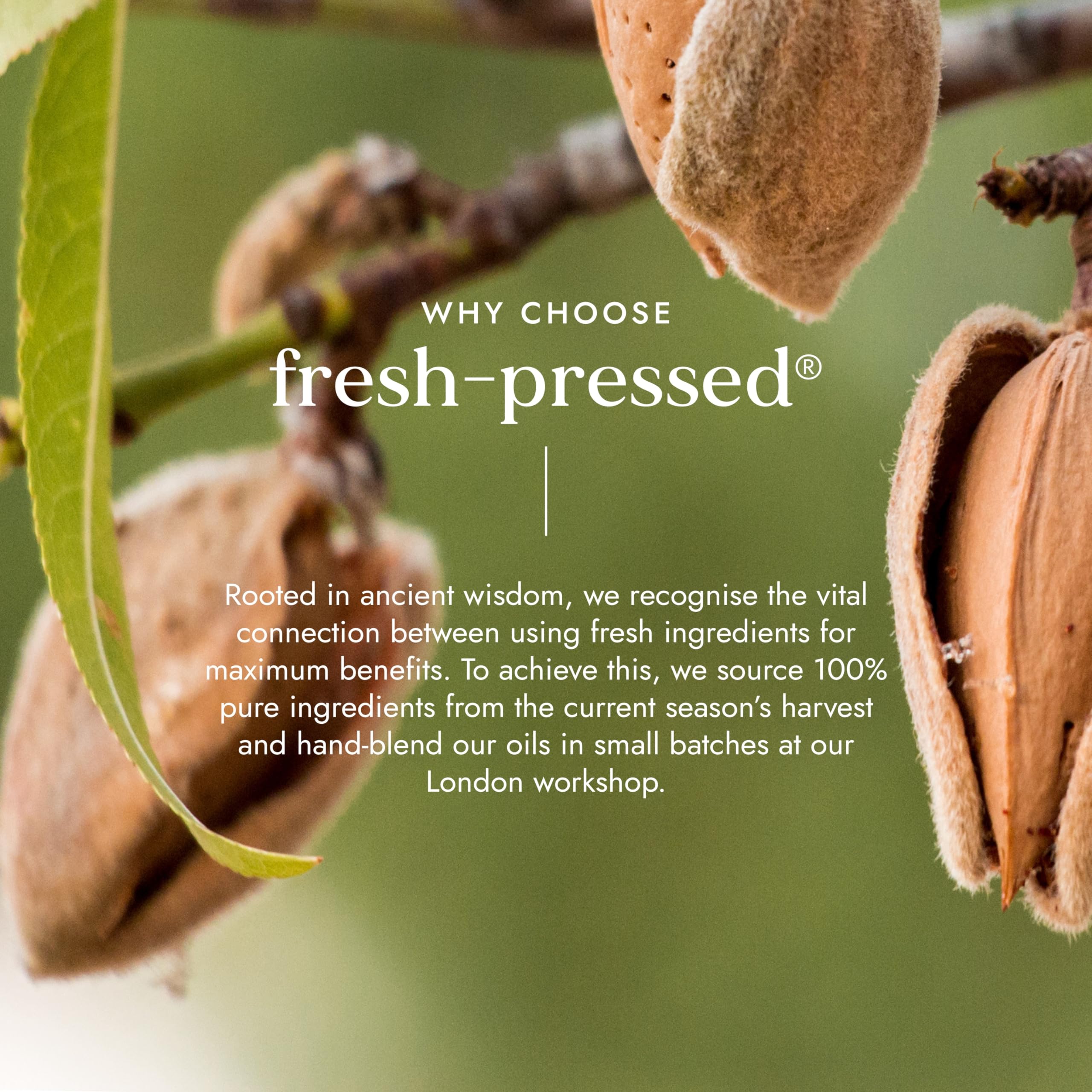 Fushi Sweet Golden Almond Organic Oil 100 ml | Fresh-Pressed | Best for Dull Skin, Dry Hands, Skin Cleansing, Sensitive Skin|Ethical & Vegan Society Approved|Manufactured in the UK